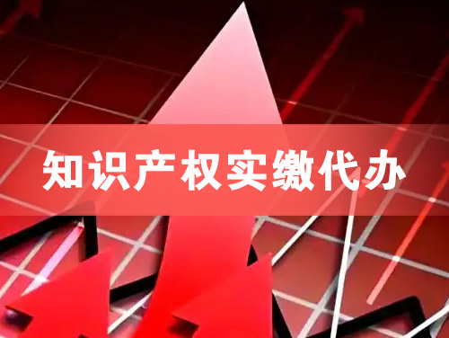 丹阳知识产权实缴资本代办